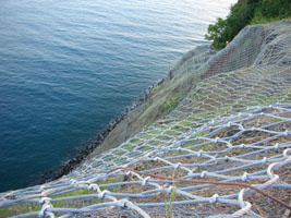 ELITE® anchored nets